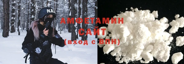 индика Михайловск